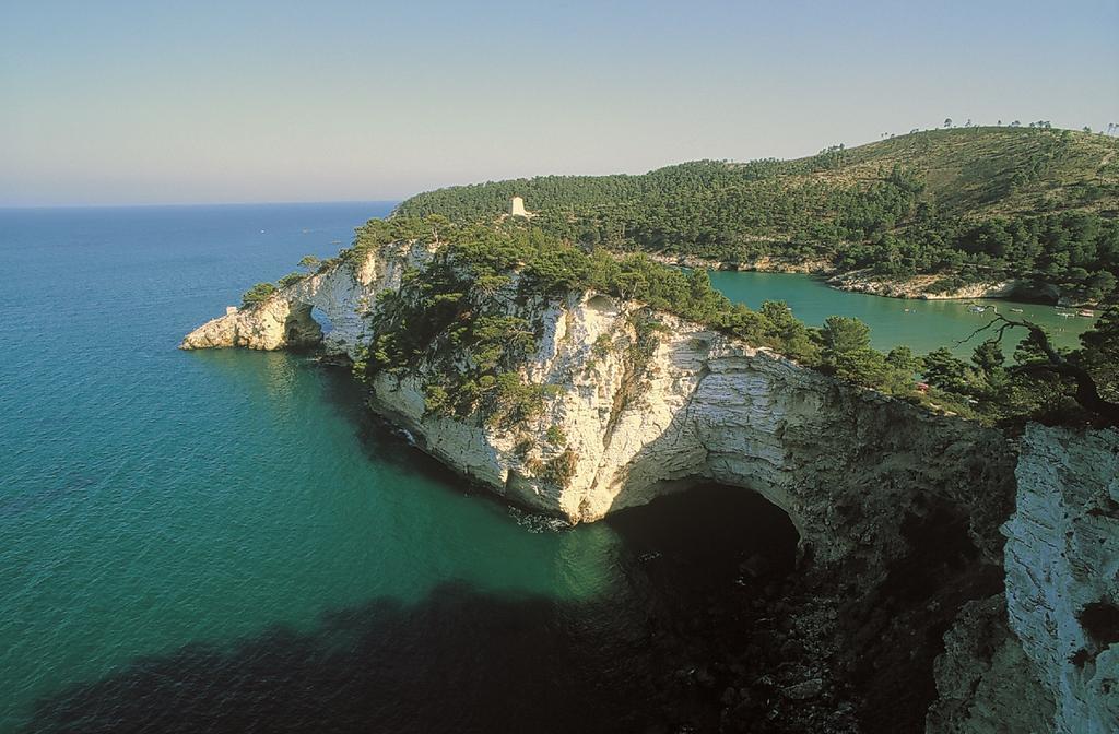 Hotel Degli Aranci Vieste Dış mekan fotoğraf