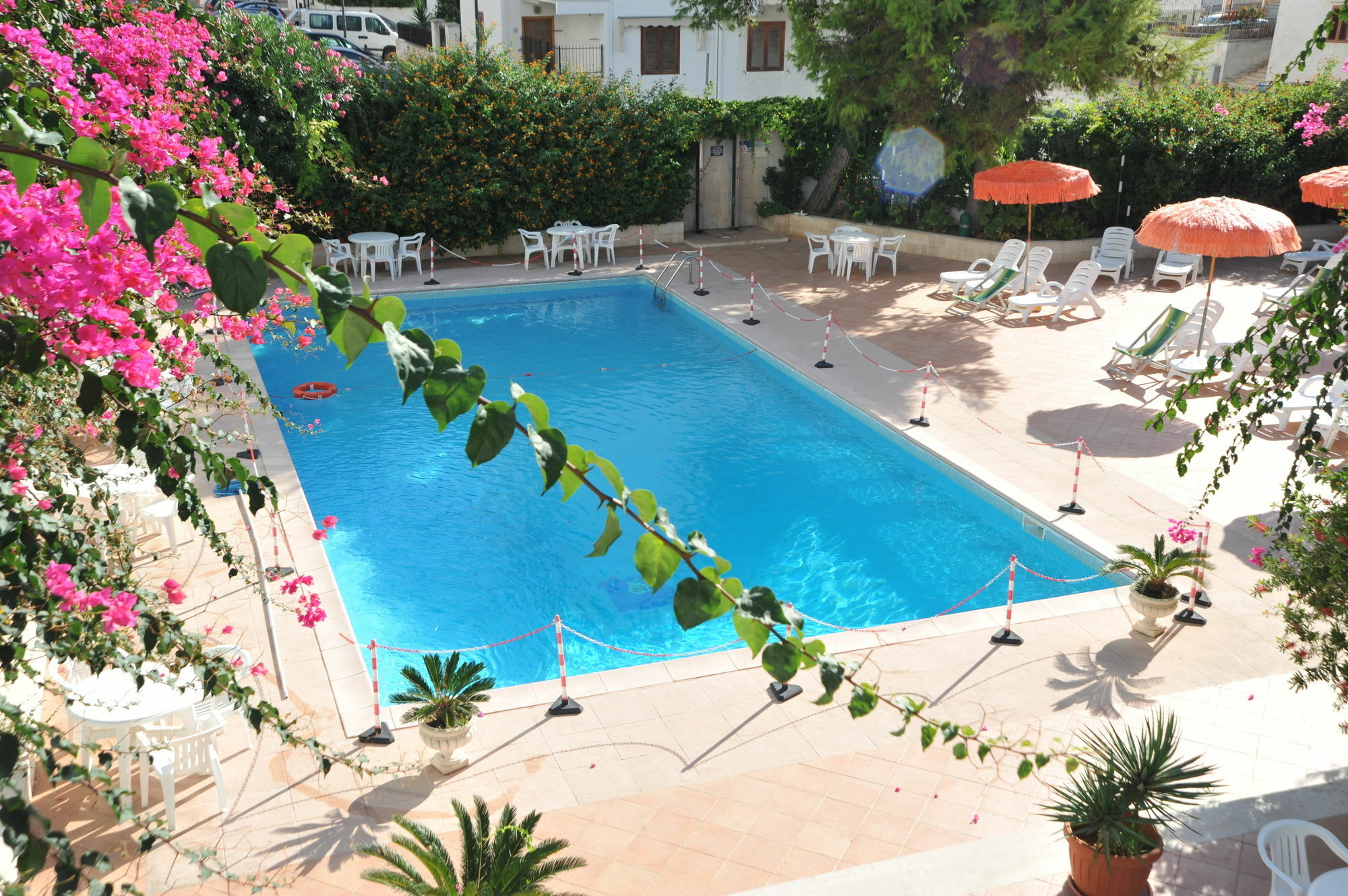 Hotel Degli Aranci Vieste Dış mekan fotoğraf